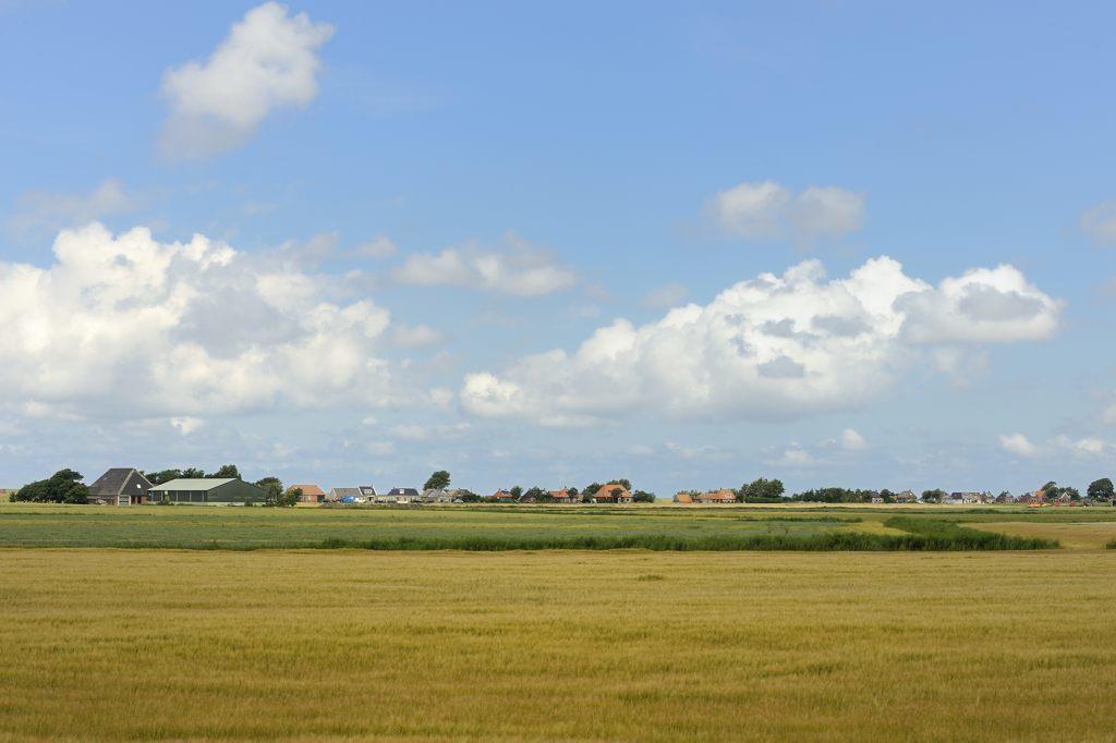 Beach-Dijkvilla Seaview Horizons Makkum Szoba fotó